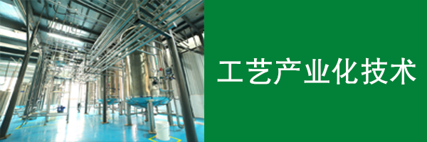 工藝產業化技術